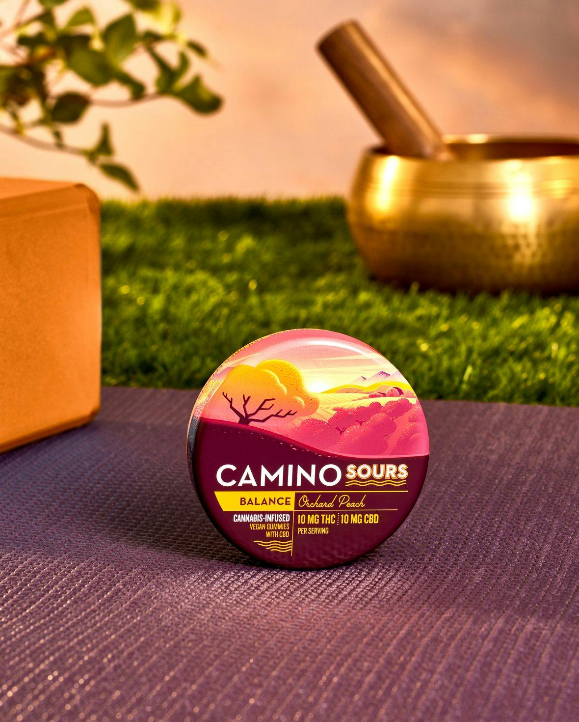 Camino Infused Gummies Orchard Peach Sours