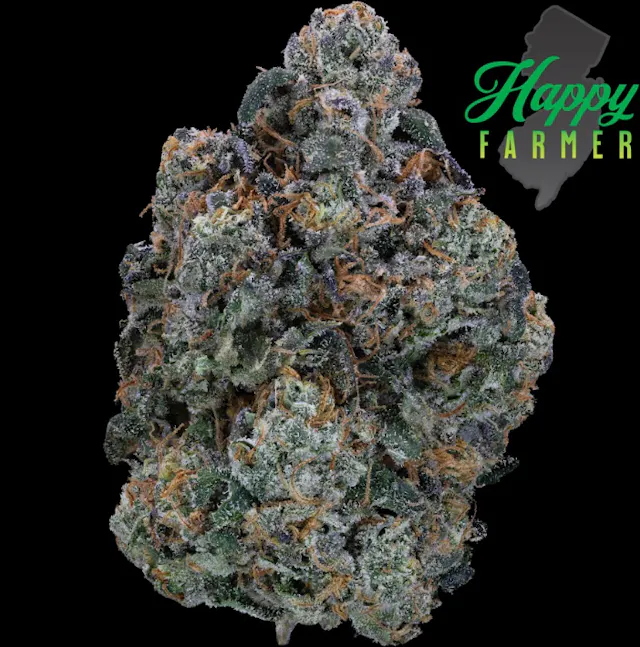 Happy Farmer Smalls Red Velvet Gary 7g (hybrid, small buds)