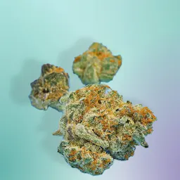 Flower category image