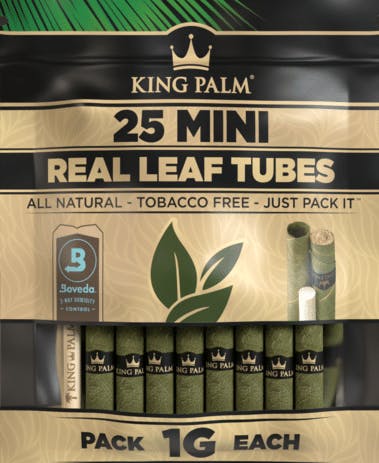 KING PALM | MINI PALMS | 25PK