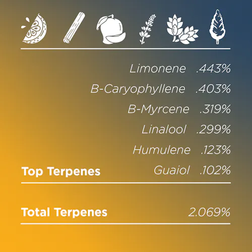 Deli Style | Los Celos – Sativa-2
