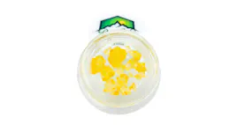 Concentrates category image