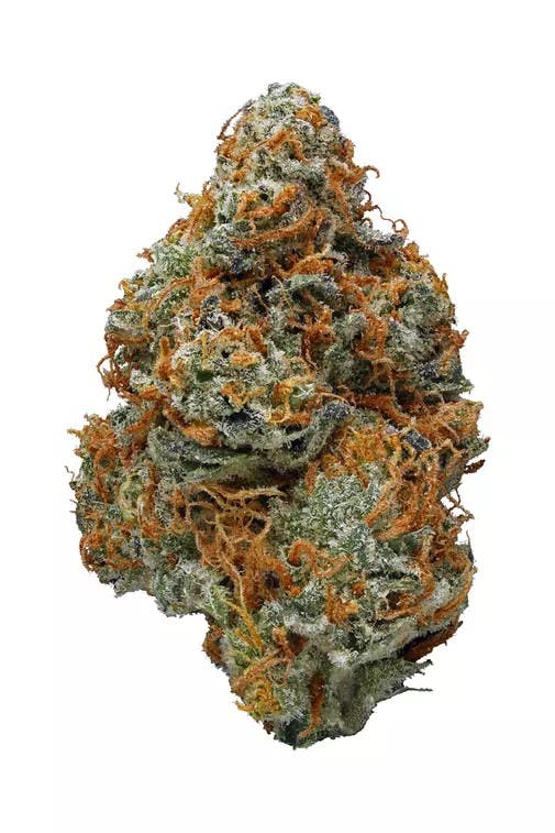 Product: GROWN ROGUE | PURPLE JACK | PRE-PACK SATIVA/HYBRID