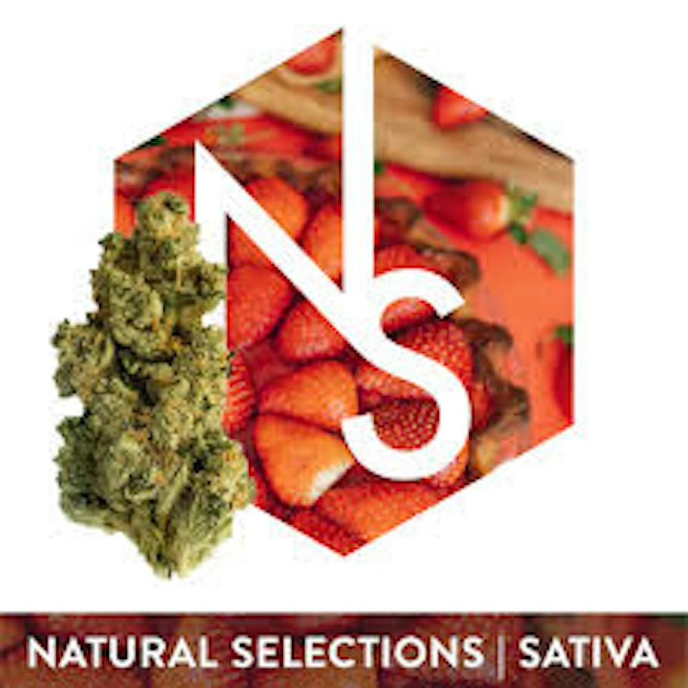 Product Strawberry Guava | Bulk Flower