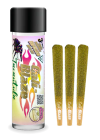 Banana Cream Pie Tarantula 3-pack | 3g - product image at King of Budz