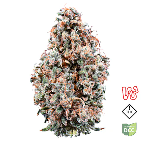 Cherry Jungle | 5.66g-1