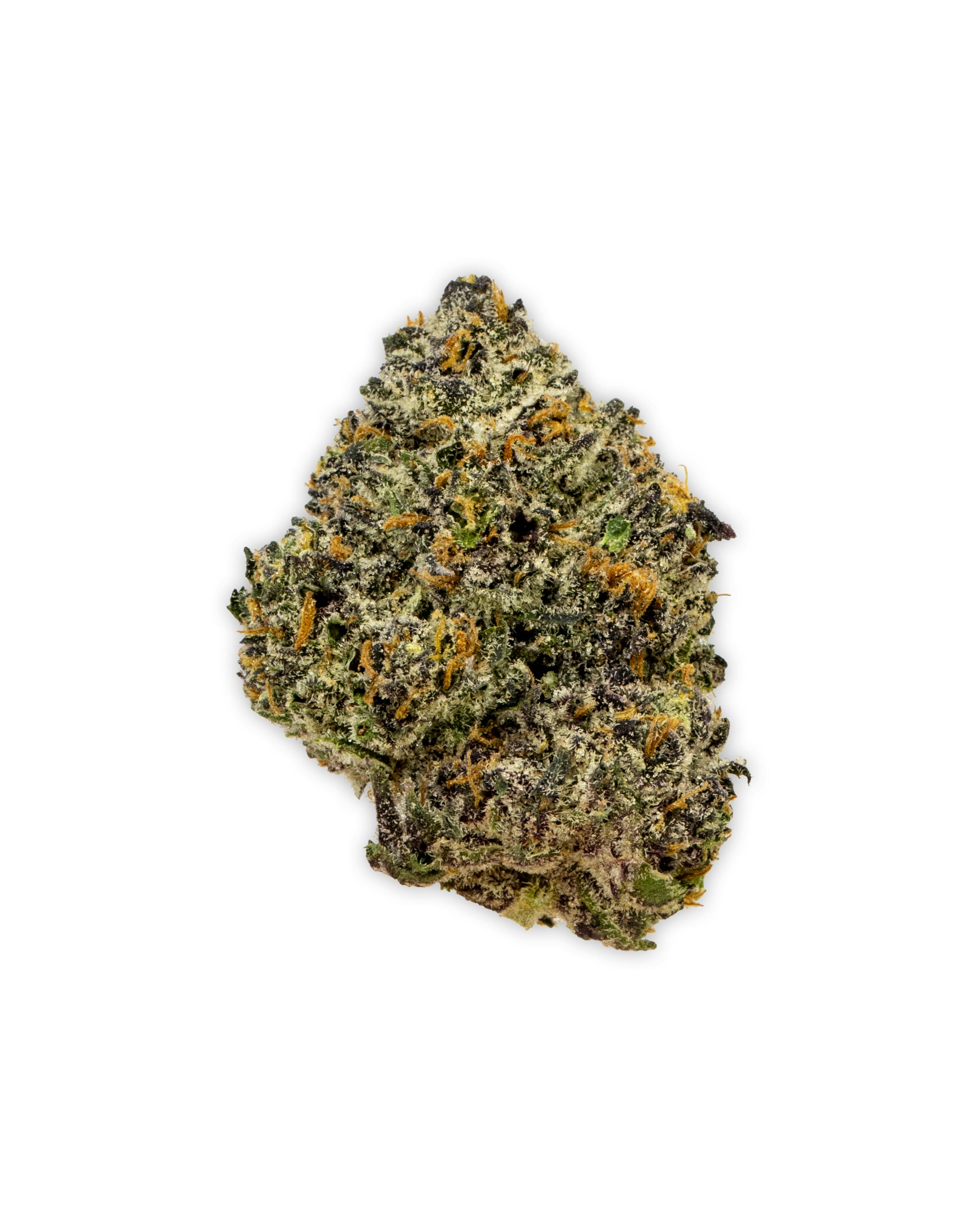 Shop Voice of the Plant Indoor SUPER RUNTZ X SHERBANGER in New