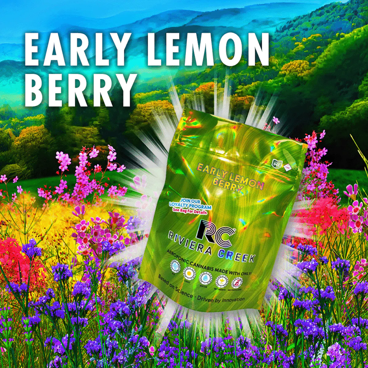 Early Lemon Berry 2.83g Flower | Riviera Creek