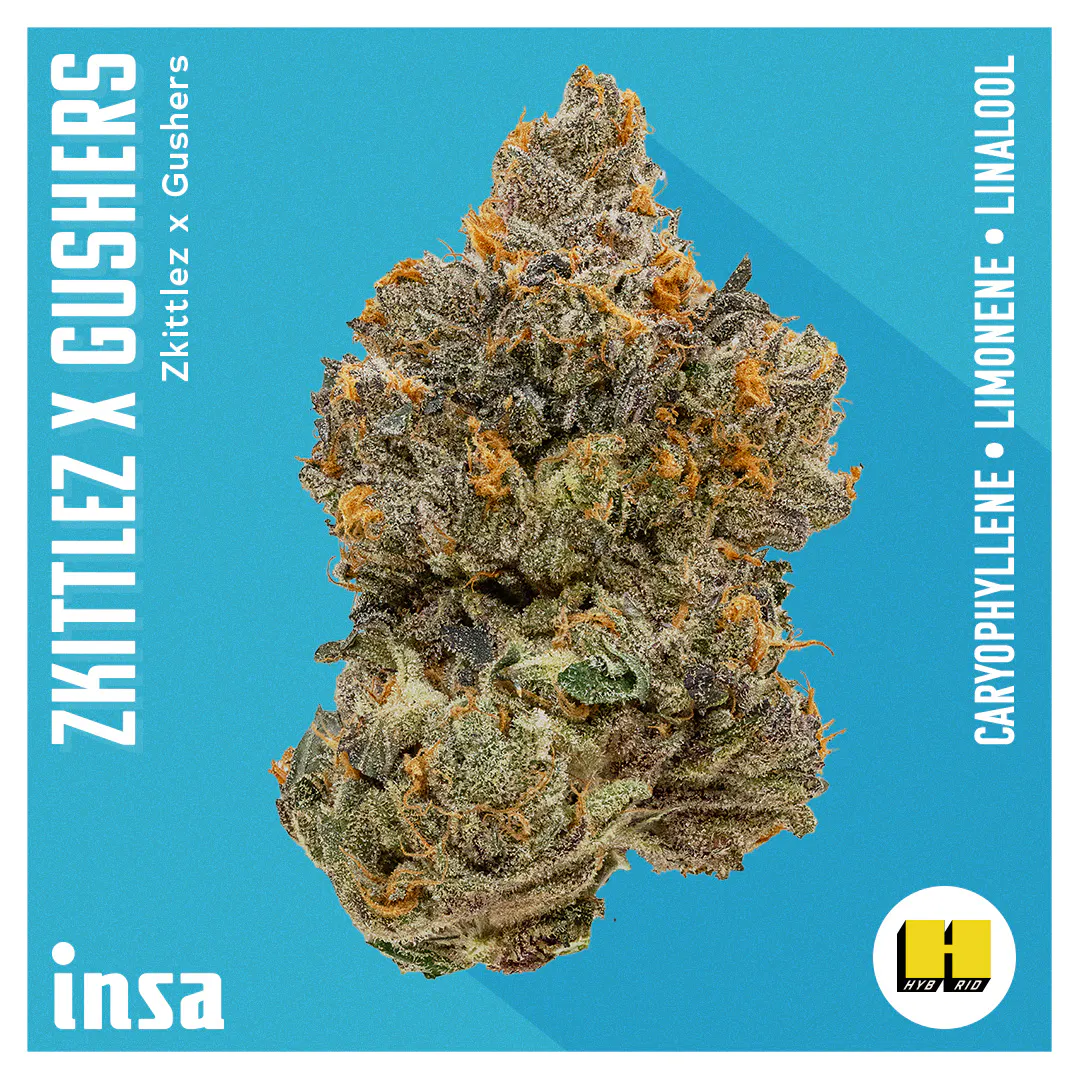 Cannabis Dispensary in Easthampton, MA | Open Daily