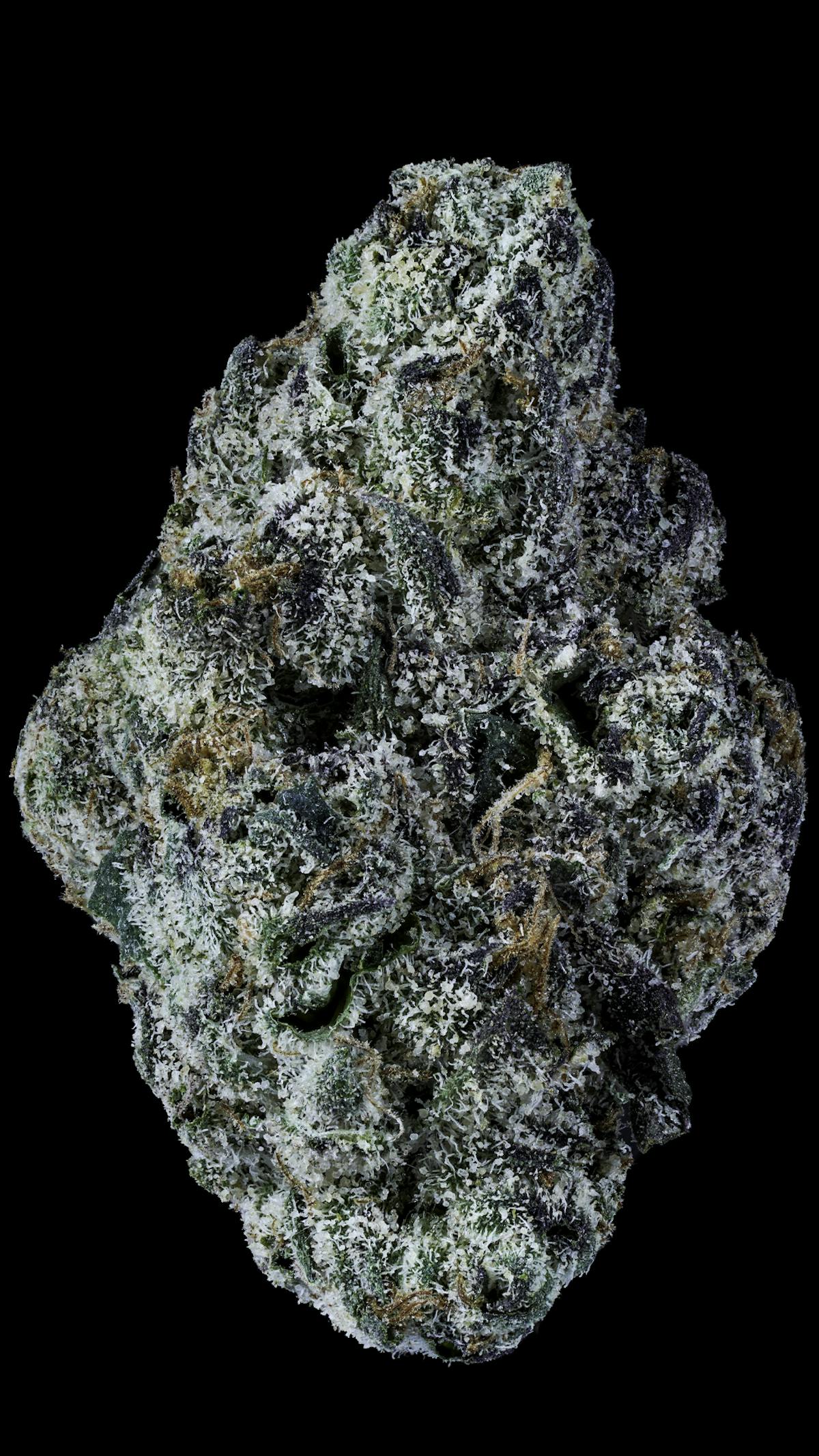 Photo of Prolific Growhouse Cherry Zlurpee 3.5g