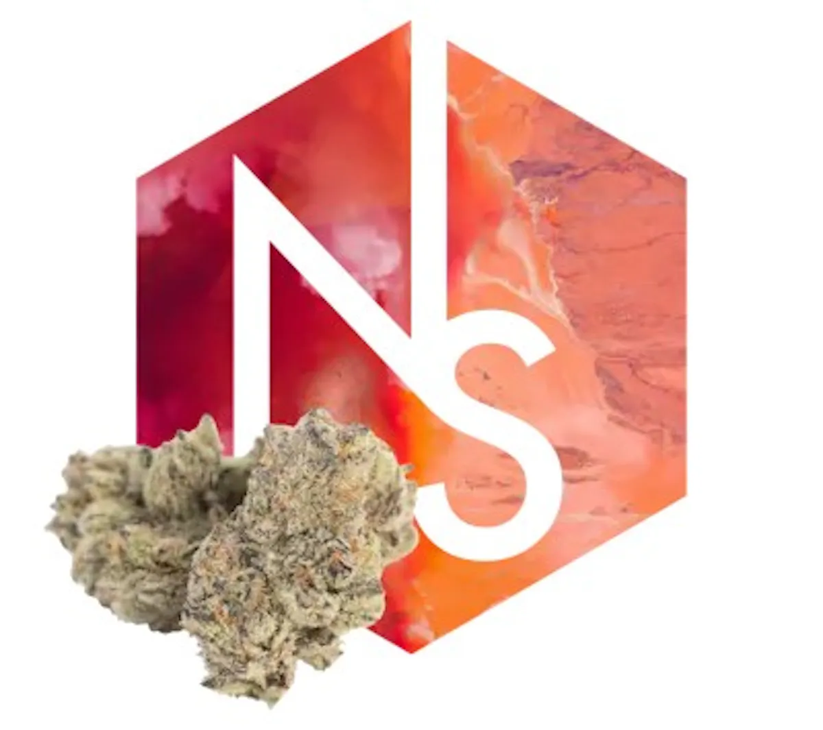 Natural Selections Wizard Spray 3.5g 1/8oz Flower | Natural
