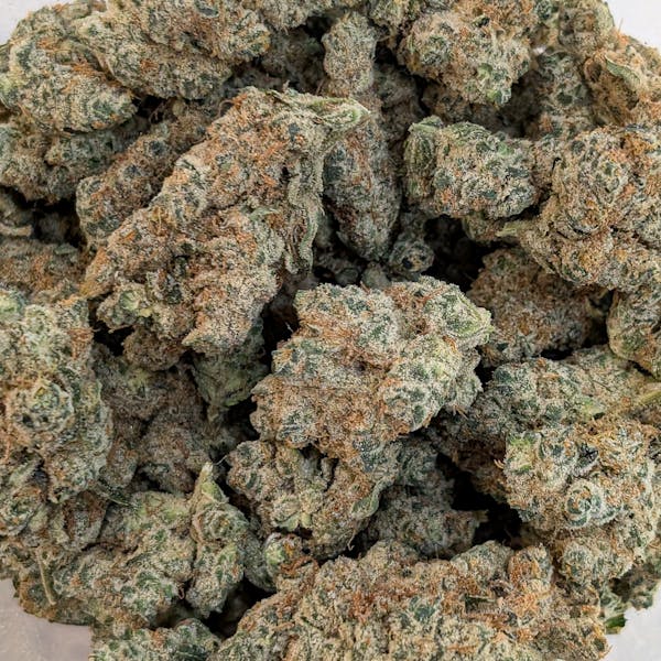 Lemonhead Delight (H) - Deli-Style Flower - Root & Bloom