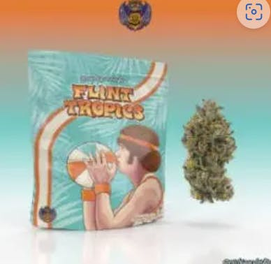 Michigander Fire - 3.5g Prepack - Flint Tropics
