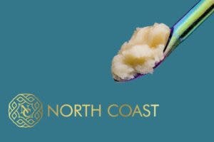 NORTH COAST | MI MODIFIED | FUN SIZE ROSIN DISPOSABLE HYBRID