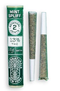 Supernaturals - Mint Spliff 2pk by Supernaturals