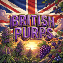 DELI - British Purps