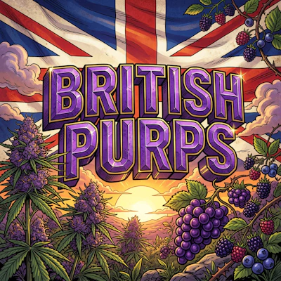 DELI - British Purps