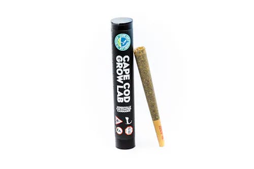 disposable weed vapes cape cod Brand-New Disposable Vape Not Working? Here's the Fix
