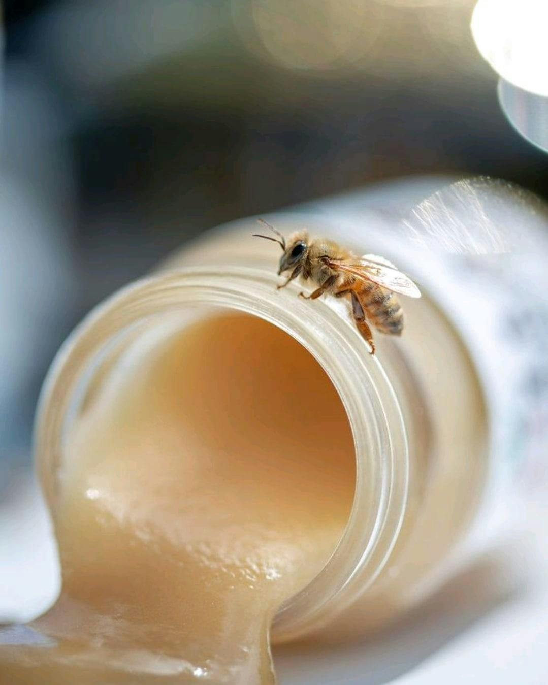 Product: Zilla | Peach | Infused Honey | 200mg