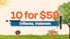 10 for $59 - Trifecta, Valorem Pre-rolls