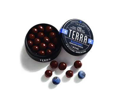 Product: Chocolate Blueberry Bites | Terra Bites