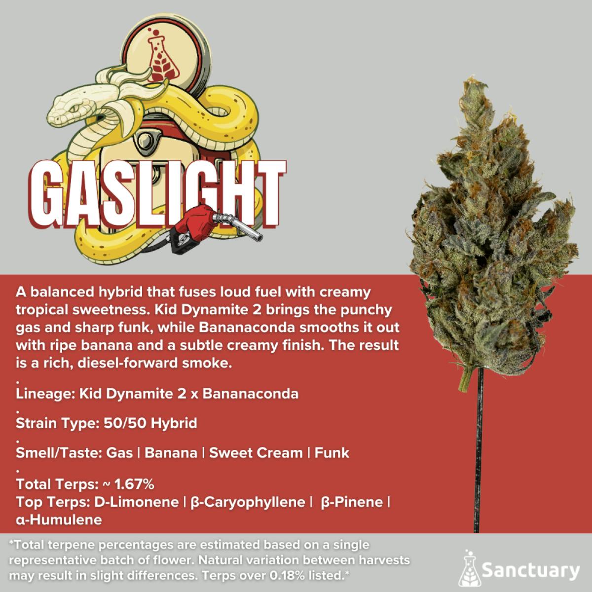 Sanctuary - Flower 3.5g - Gaslight