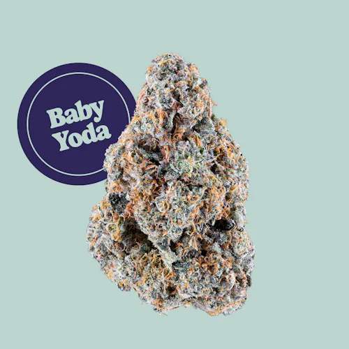 Permanent Chimera 3.5g – Kind Tree (Pre-Pack)-2