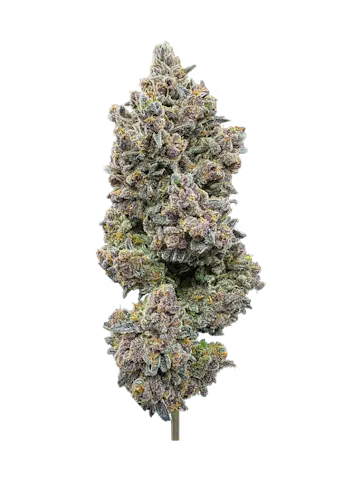 Fruit Pebblez | 3.5g-active