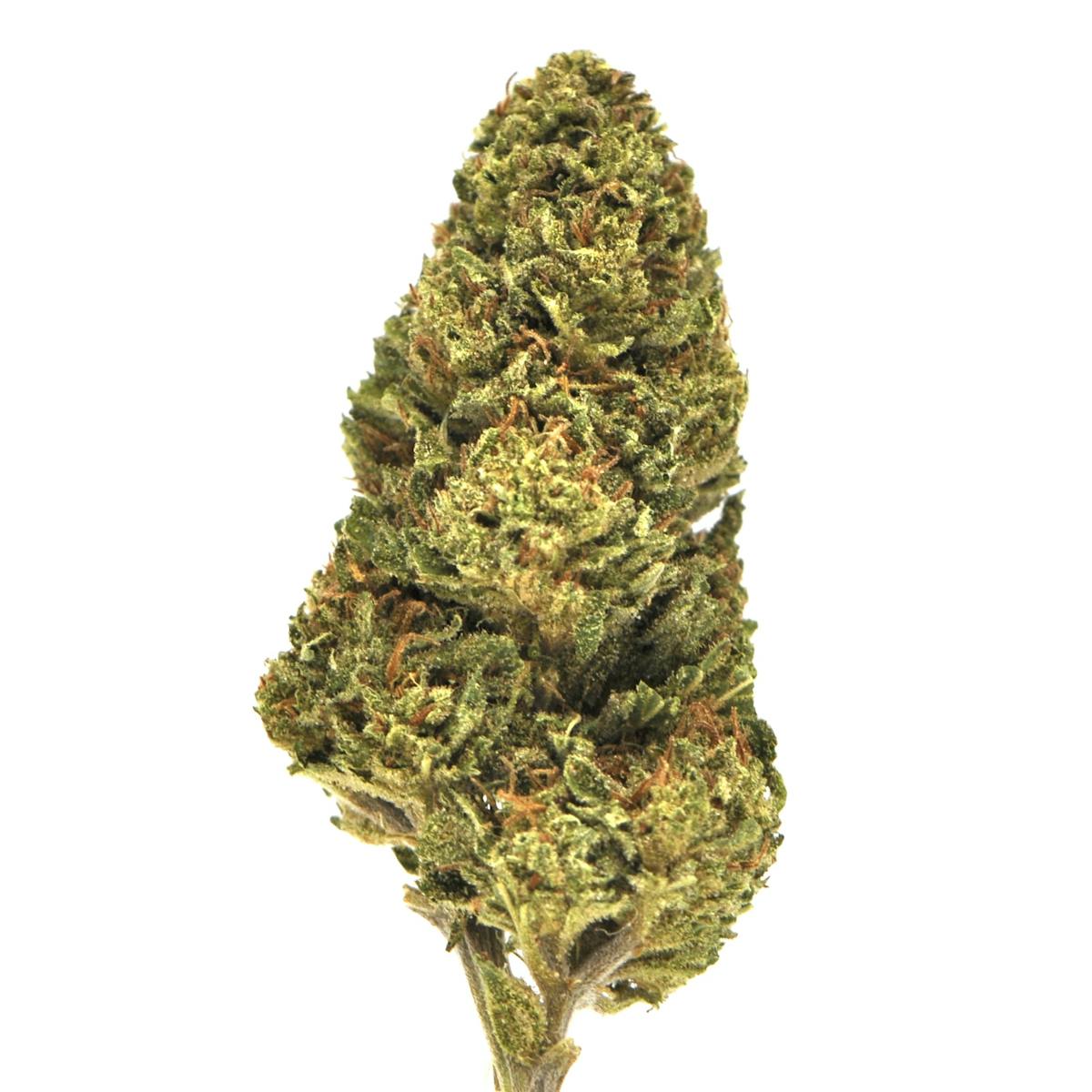 Image of Stank House | 3.5g Prepackaged Flower