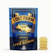 Product: Golden Pineapple | 20mg x 10pk | Live Rosin Infused | Lost Farm