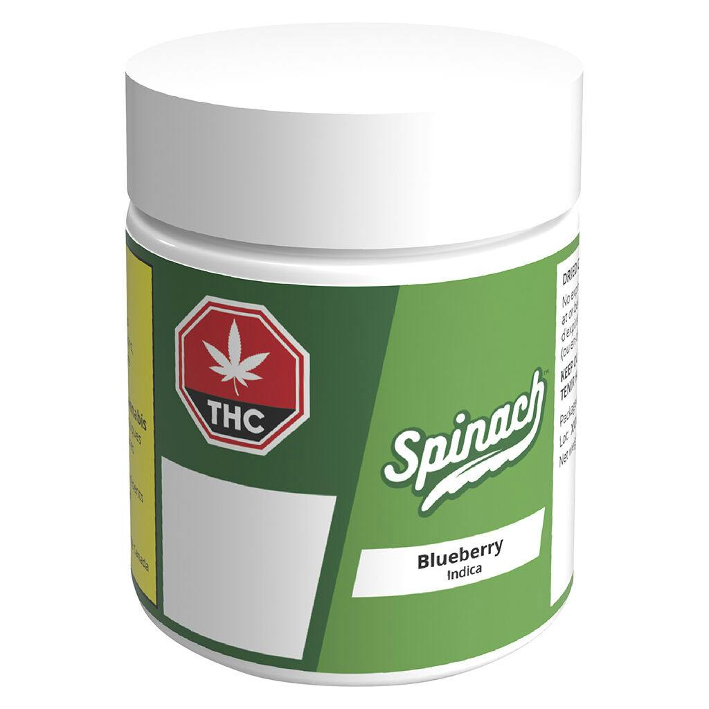 Spinach - blueberry