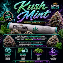 KOB - 1g Preroll - Kush Mints