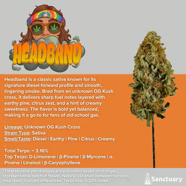 Sanctuary - Flower 3.5g - Headband