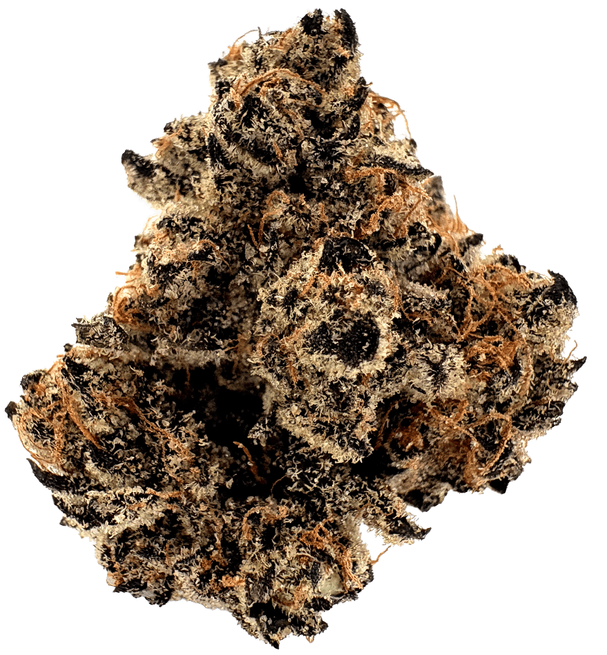 稀少　ホワイトスカンク　goro's等のカスタムに　46 Cannabis Flower | Grass Valley Provisions