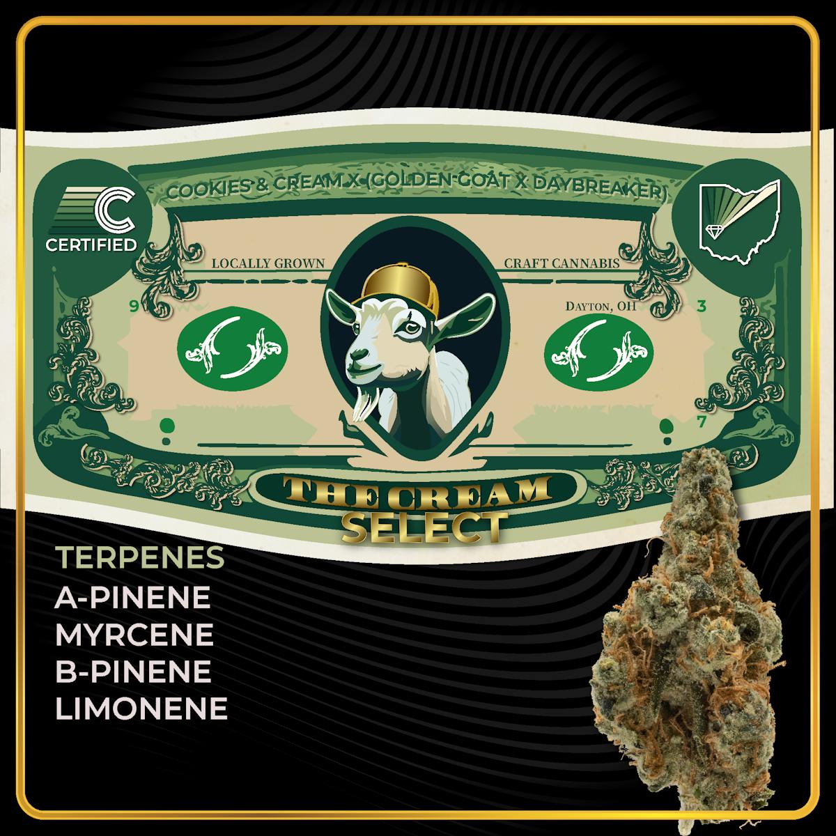Photo of The Cream Small Buds
