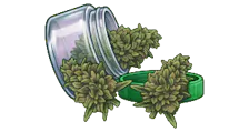 Prepacks category image