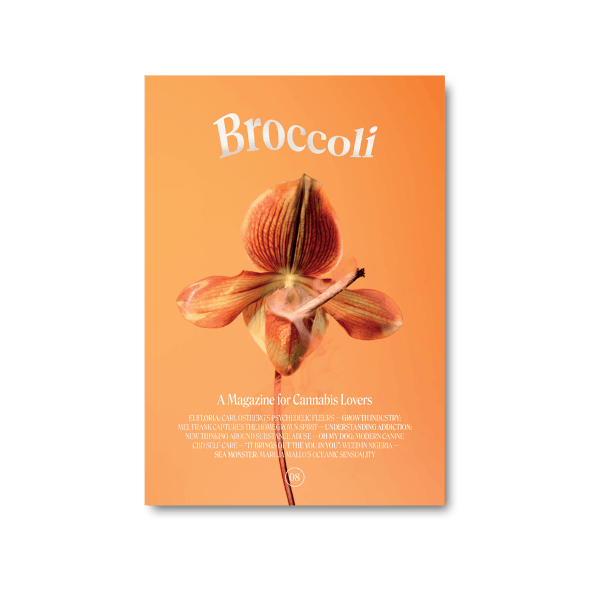 Image of Broccoli Magazine Issue 08