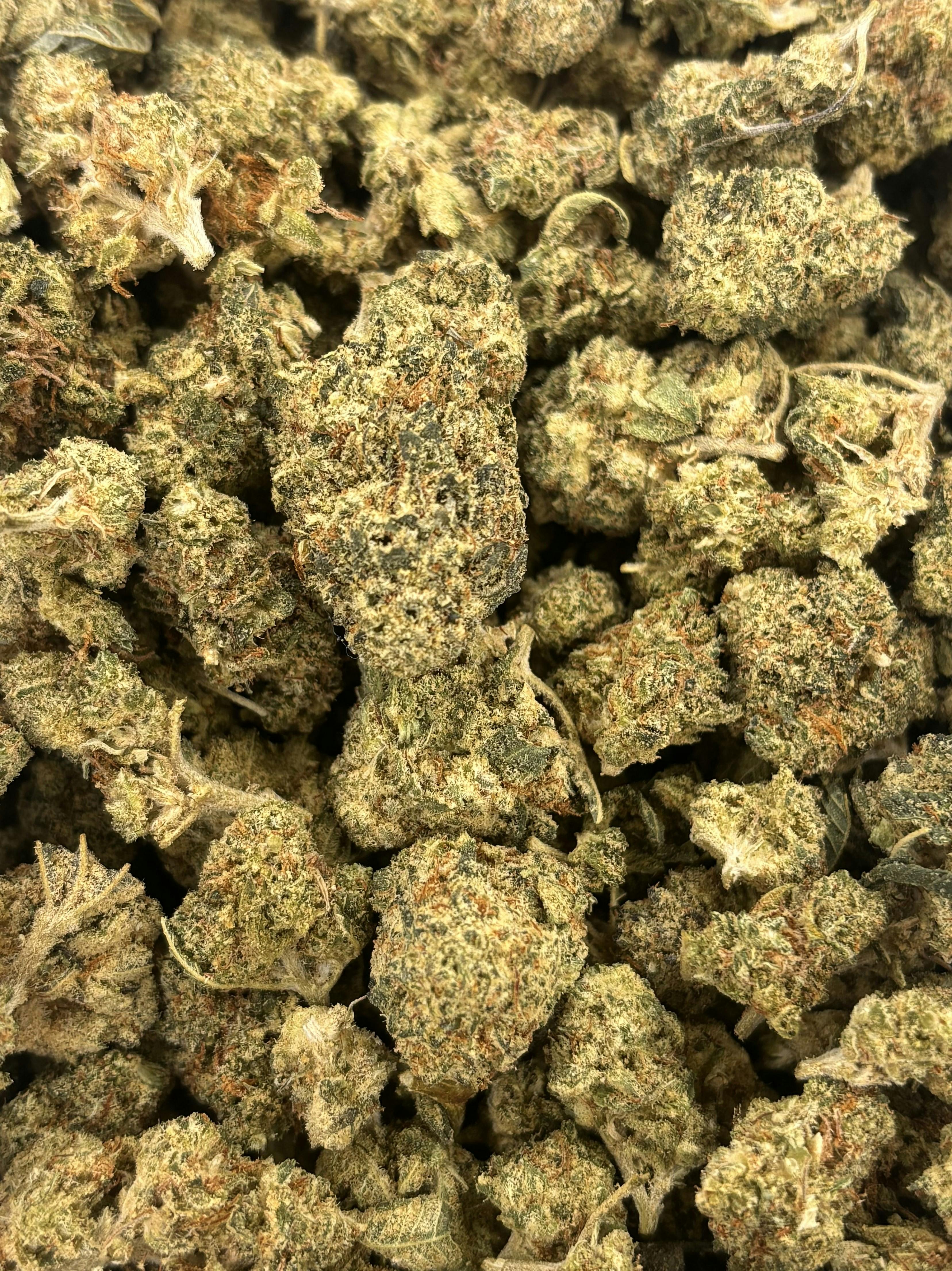 Dolato | Deli Flower (Bronze)