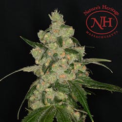 Chocolatina 3.5g