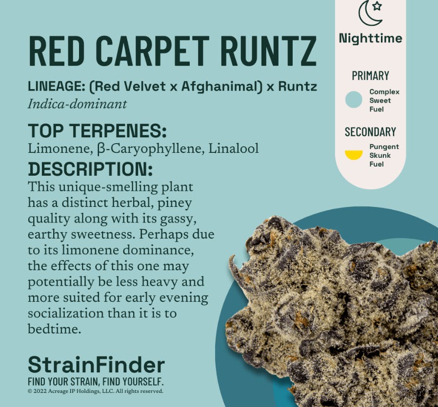 Red Carpet Runtz | Flower | 3.5g by The Botanist | Buy Online