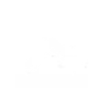 Faustini Farms Logo