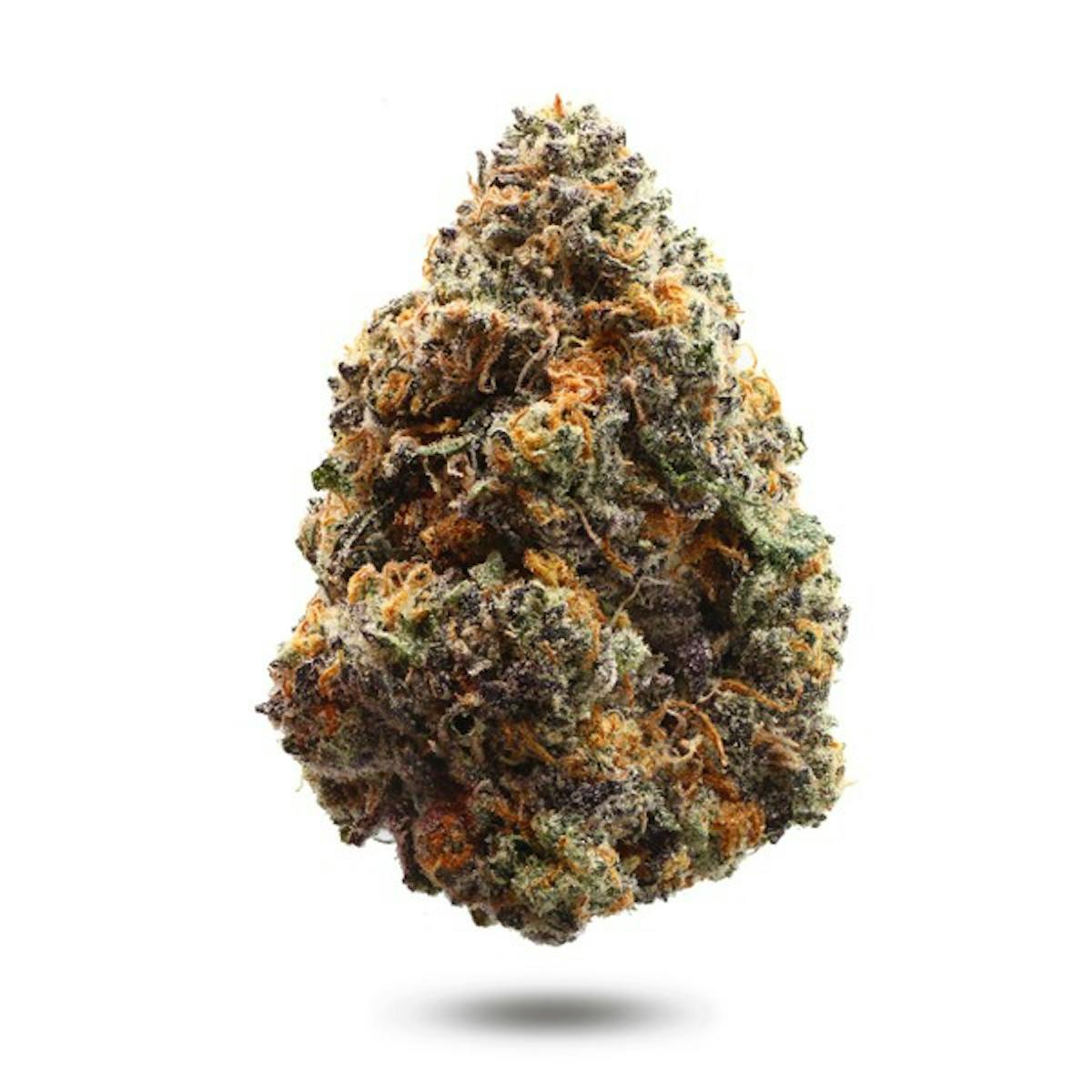 Photo of Gold Shelf – Rainbow Sherbert (S)