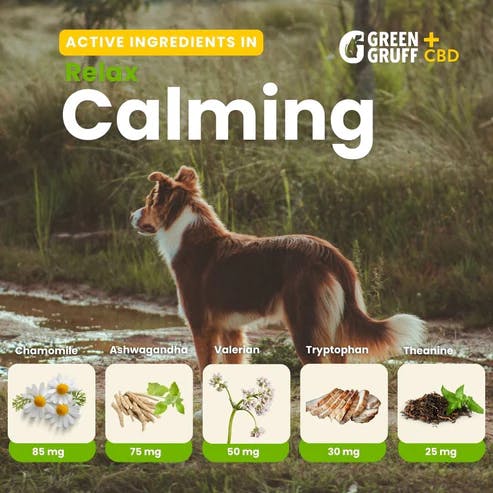 Photo of RELAX Calming CBD Dog Chew – 24ct.