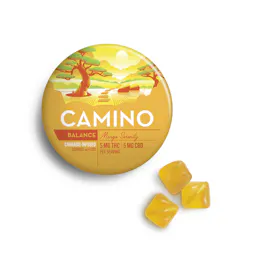 Mango CBD 5:5