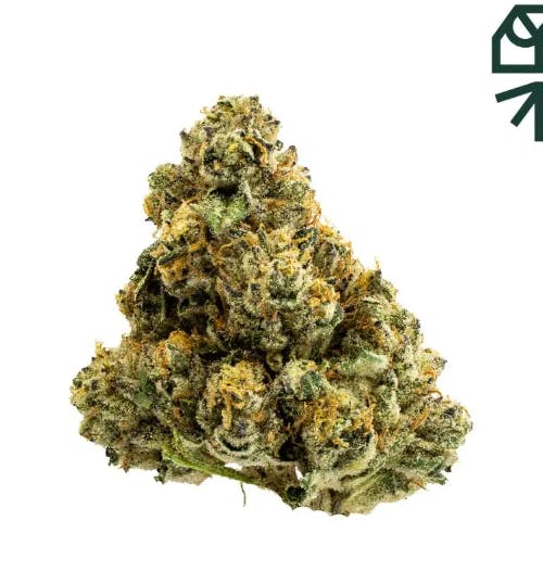 Flower | Grassroots | Birthday Cake | 3.5g