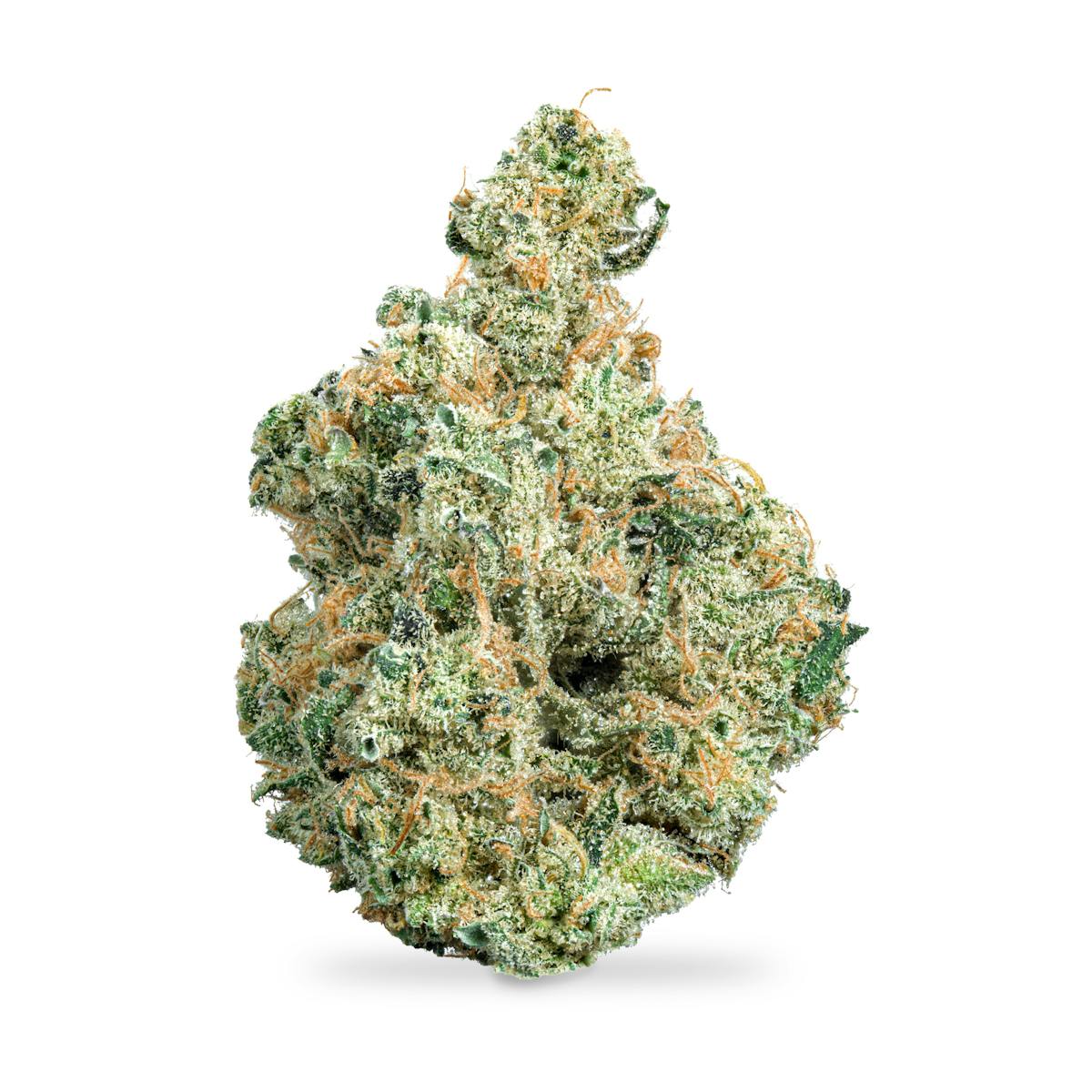 Photo of Fresh Powder