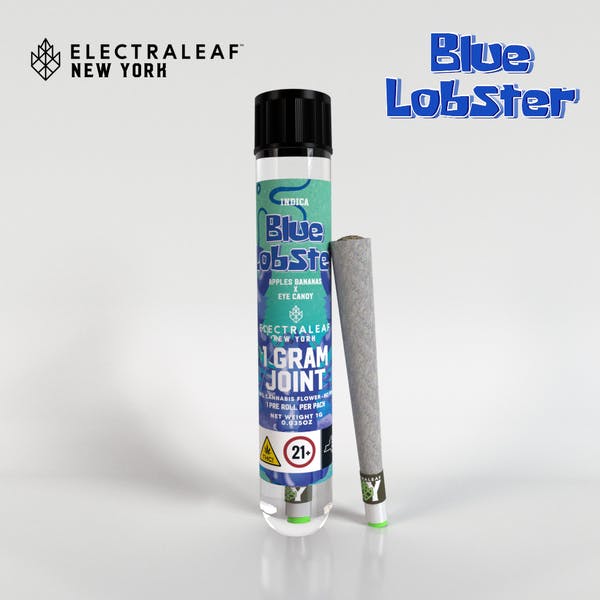 Electraleaf-Ceramic Tip Joint 1g- Blue Lobster