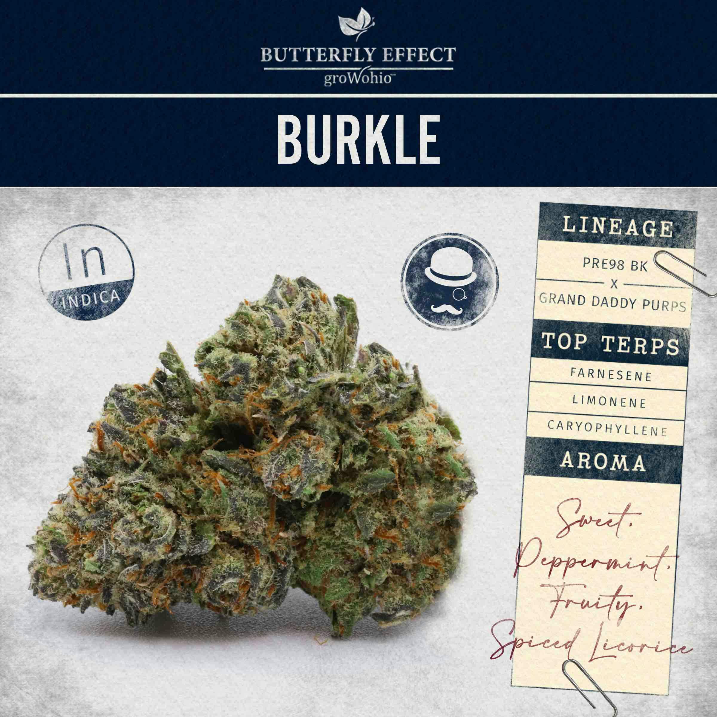 image of Burkle