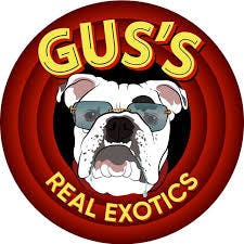 Gus's Real Exotics - PM Slappers - 1g Infused Preroll