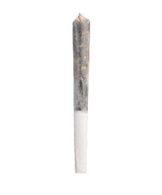 Frosted Caramel Pancakes Infused Pre-Roll - 1x0.5g